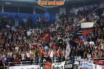 0-800 Campazzo