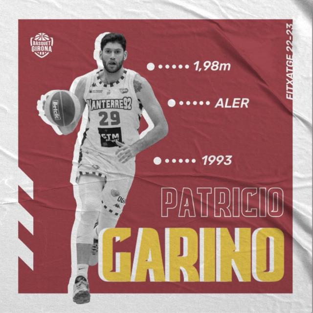 Pato de regreso